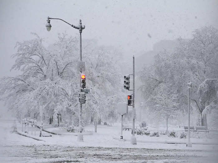 Photos from the storm show trees, roads, and even traffic lights blanketed with snow in Washington, DC.