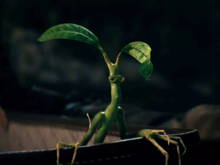 Newt's favorite Bowtruckle, Pickett, makes a return appearance.