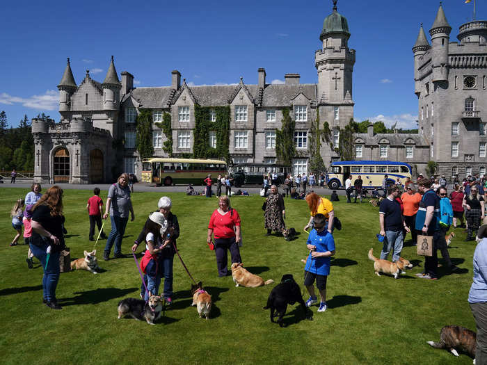 Dozens of corgis and their owners gathered on the front lawn of Balmoral Castle, the Scottish holiday home of the royal family in honor of the Queen's Platinum Jubilee Saturday.