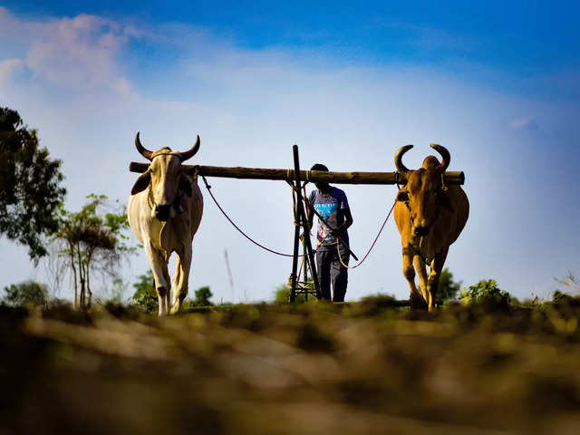 
The winds of change are changing the fortunes of Indian farmers
