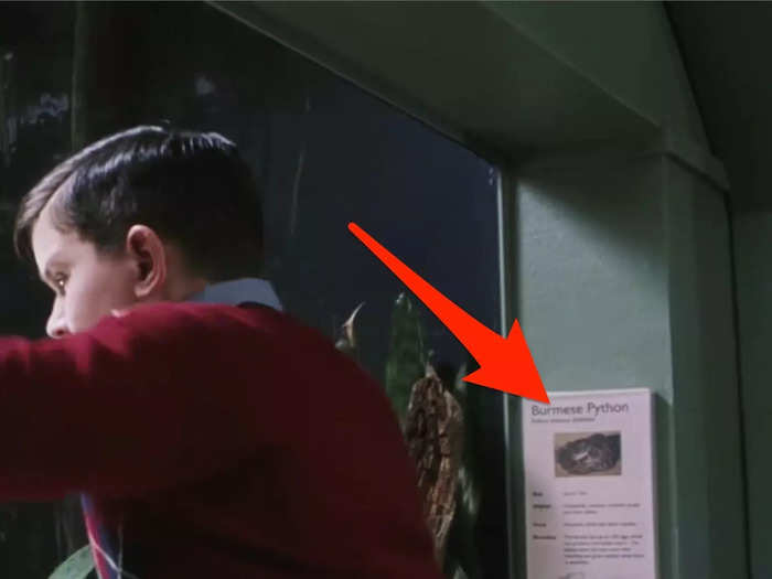 The snake at the zoo in "Harry Potter and the Sorcerer's Stone" changed species in the film.