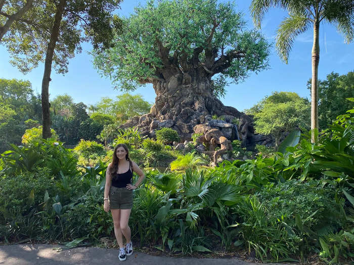 I'm a lifelong Disney World fan who's been visiting the theme park since the late '90s. After my most recent trip in August 2021, I ranked every Animal Kingdom attraction from worst to best.