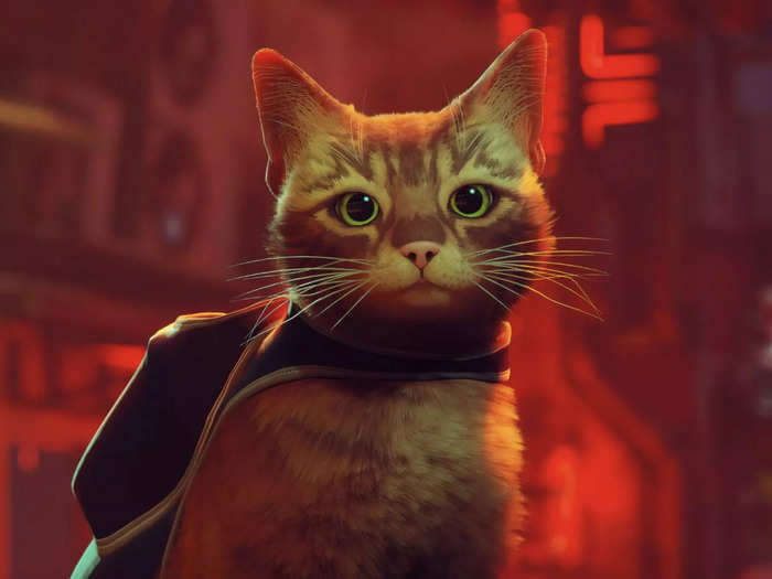 "Stray" is a new sci-fi video game about a lost cat uncovering a mystery in a futuristic, cyberpunk-inspired city where only robots remain. It debuted on Tuesday for PC and PlayStation. It costs $30.