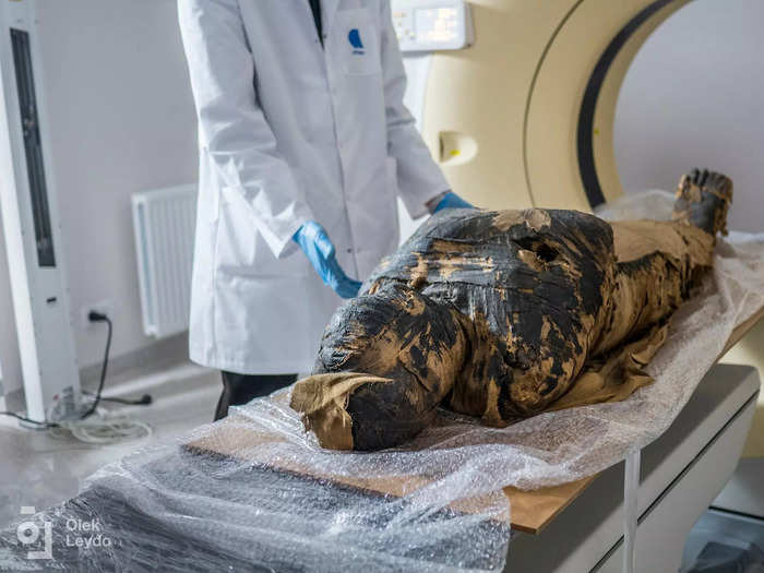 An ancient Egyptian mummy may not have been a male priest been, but a pregnant woman