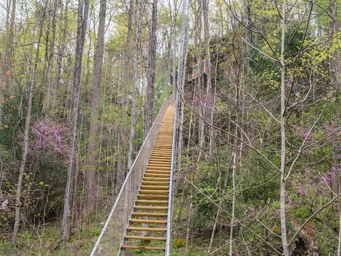 A suspension staircase leads up to the Cliff Dweller treehouse.