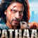 
Grateful, happy, loved: SRK greets fans post Pathaan success
