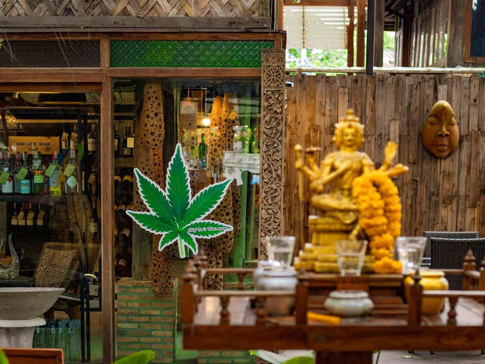 In June last year, Thailand became the first country in Southeast Asia to decriminalize the use of marijuana. It comes after decades of being classified as a Category 5 drug.