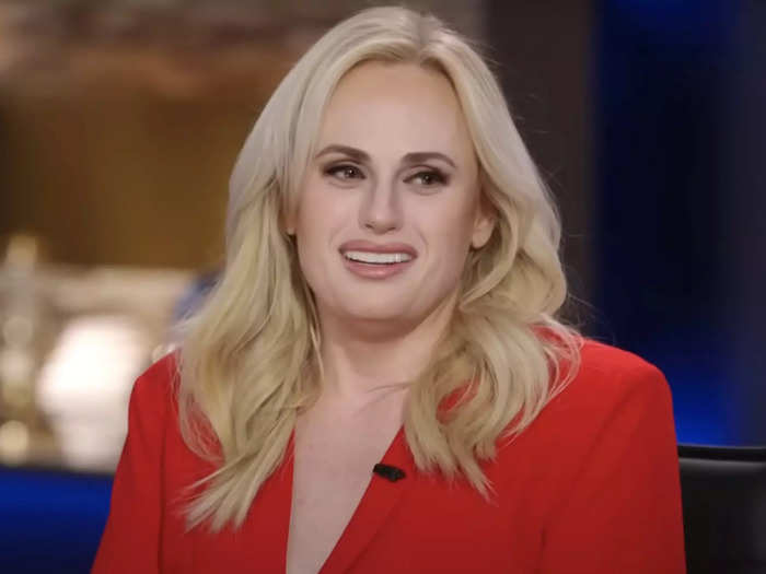 Rebel Wilson says she was banned from Disneyland for 30 days for taking a bathroom selfie.